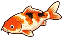 Carpa-koi