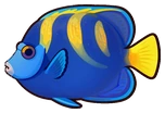 Peixe-anjo-imperador