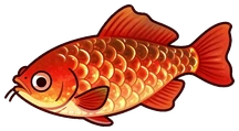 Peixe-dragão