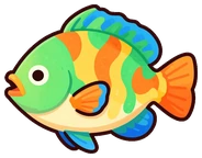 Peixe-mandarim