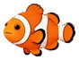Peixe-palhaço